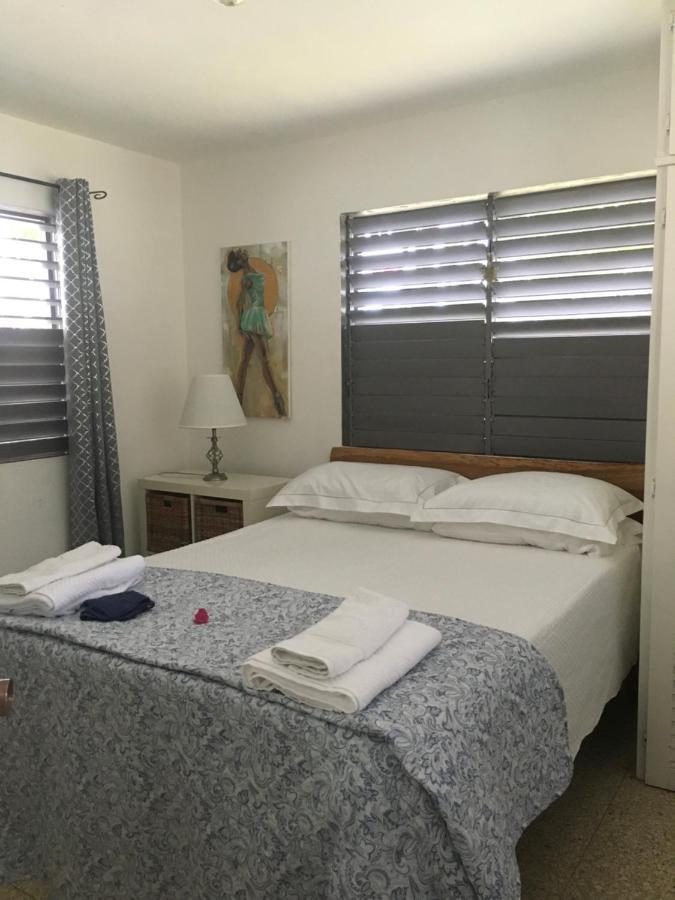 Ancella'S Garden Apartment-Beach-5Min Drive, 1 Hr Montego Bay, 25 Mins Ocho Rios, Continental Breakfast 런어웨이베이 외부 사진